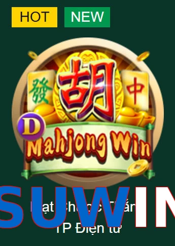SUWIN