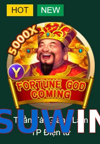 SUWIN